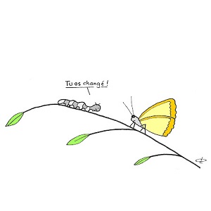 dessin chenille et papillon